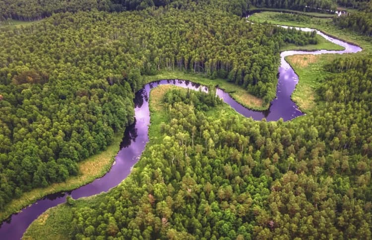 There Are Zero Bridges Across The Amazon. Here Is Why